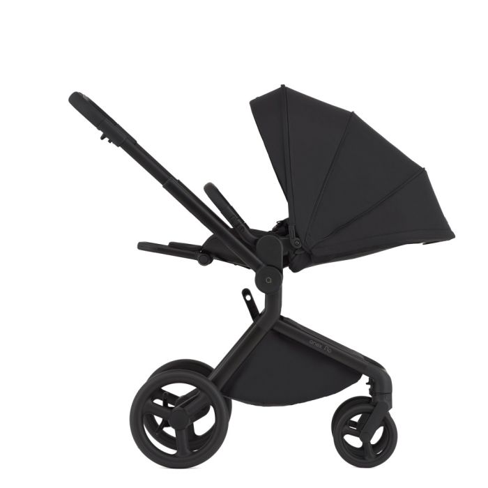 Коляска 2 в 1 Anex Flo Lungo