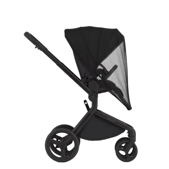 Коляска 2 в 1 Anex Flo Lungo