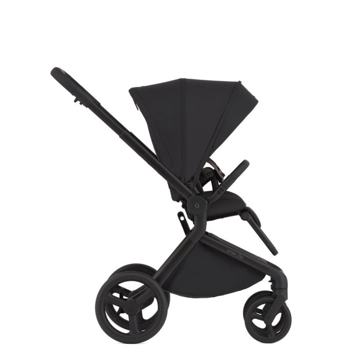 Коляска 2 в 1 Anex Flo Lungo