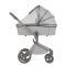 Коляска 2 в 1 Anex Flo Frossy