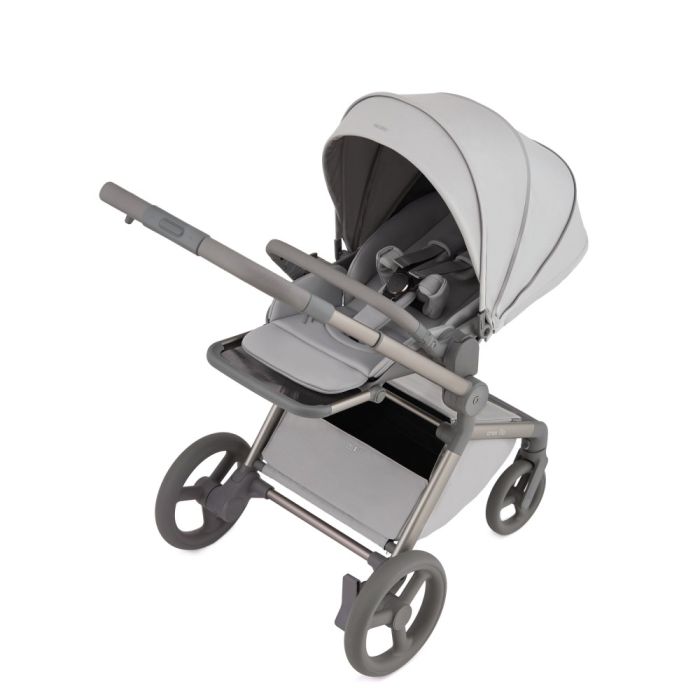 Коляска 2 в 1 Anex Flo Frossy