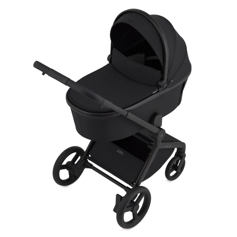 Коляска 2 в 1 Anex Flo Lungo