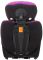 Автокресло Bair Beta 1/2/3 (9-36 кг) DB1824 черный - фиолетовый
