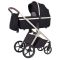 Коляска 2 в 1 CARRELLO Vector CRL-6550 Pearl Black