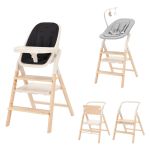 Стульчик для кормления CARRELLO Ergo CRL-16701 Obsidian Black