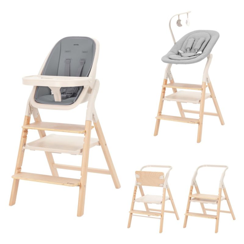 Стульчик для кормления CARRELLO Ergo CRL-16701 Carbon Grey