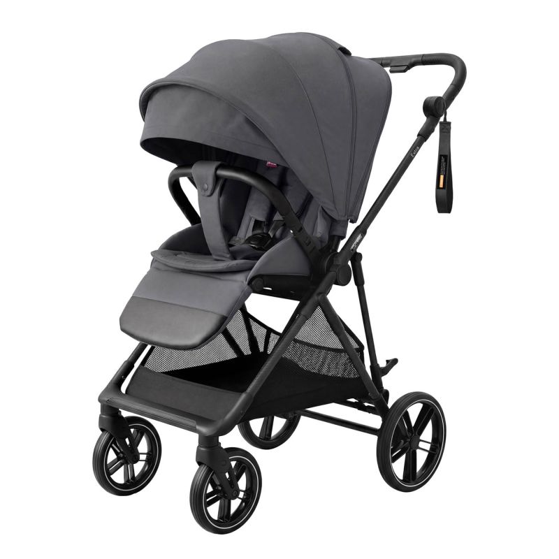 Коляска прогулочная Carrello Extra CRL-6532 Chrome Grey