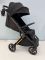 Коляска прогулочная Espiro Flame 110 Timeless Black