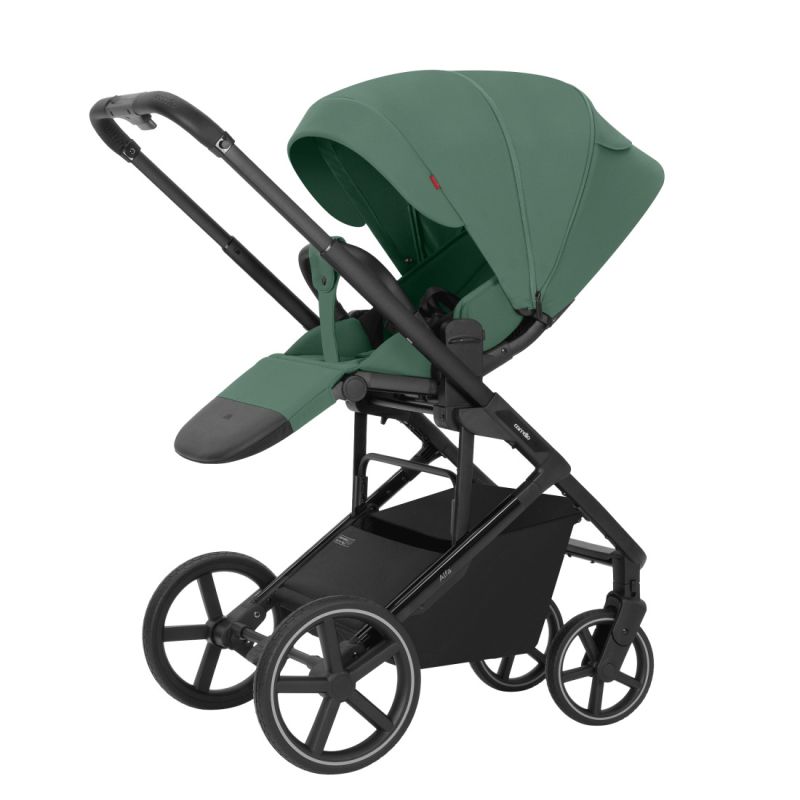 Коляска 2 в 1 CARRELLO Alfa CRL-6522 Meadow Green