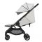 Коляска 2 в 1 Anex iQ Pastel