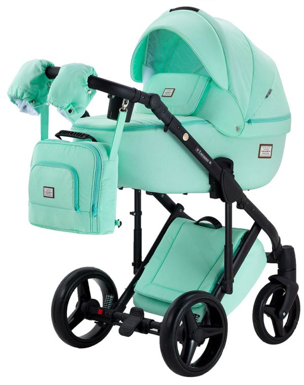 Коляска 2 в 1 Adamex Lucianо C221 м'ятний