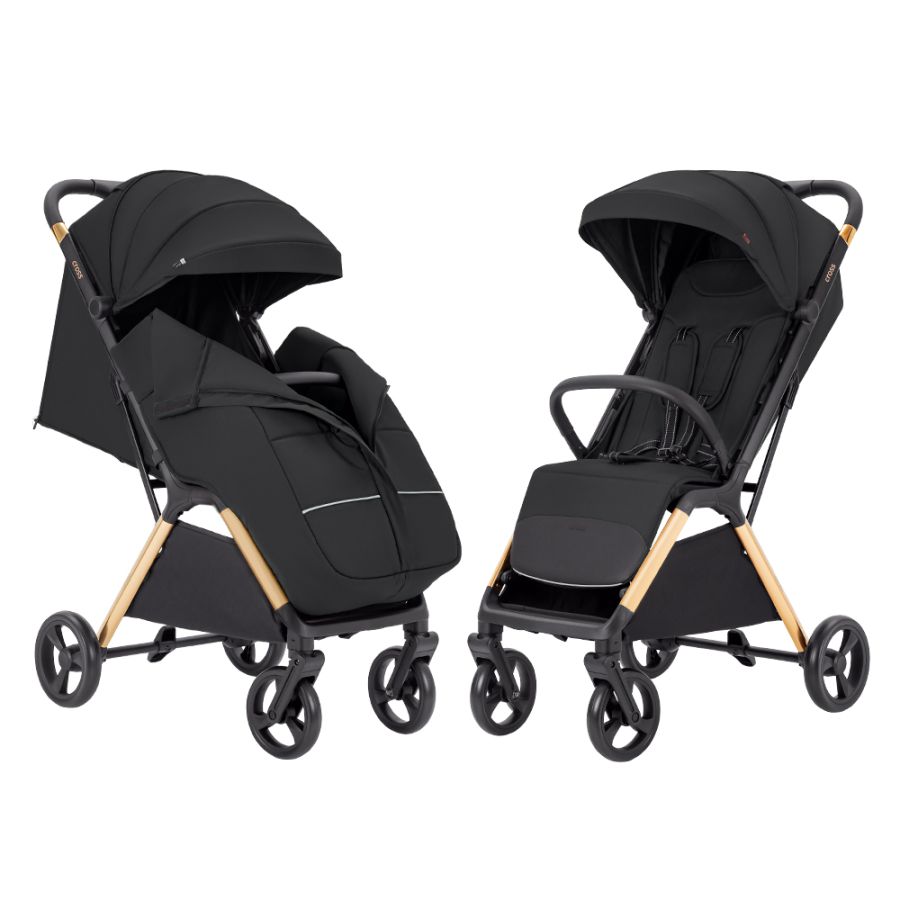 Коляска прогулочная CARRELLO Cross CRL-5523 Raven Black