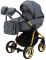 Коляска 2 в 1 Adamex Barcelona  Polar (Gold) BR432