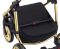 Коляска 2 в 1 Adamex Barcelona  Polar (Gold) BR608