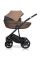 Коляска 2 в 1 Riko Aicon 10