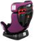 Автокресло Bair Sigma 0+/1/2 (0-25 кг) DS1824 черный - фиолетовый