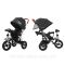 Велосипед триколісний TILLY TRAVEL T-387 Чорний льон/1/ Велосипед триколісний TILLY TRAVEL T-387 Чорний льон/1/