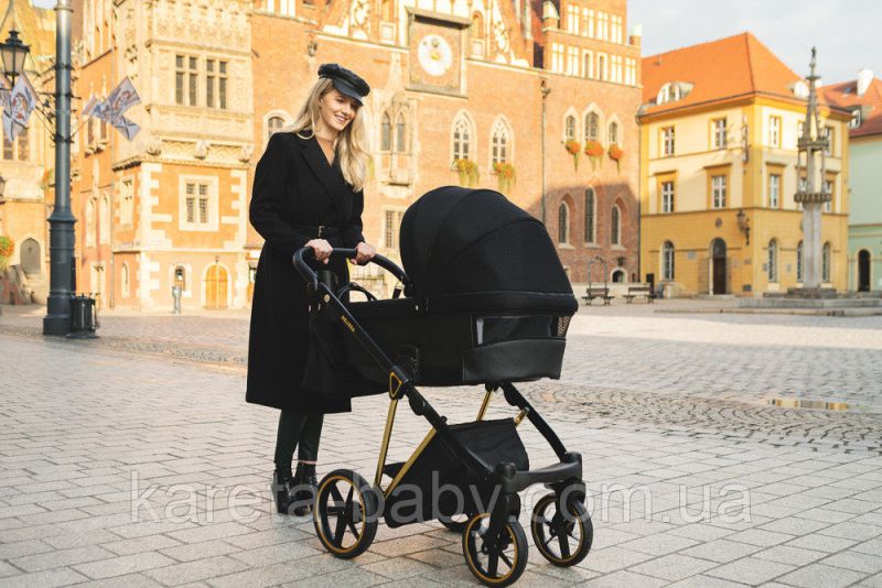 Коляска 2 в 1 Adamex Belissa Special Edidion (Chrome) PS-609
