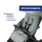 Прогулочная коляска Chicco Goody XPlus Sage