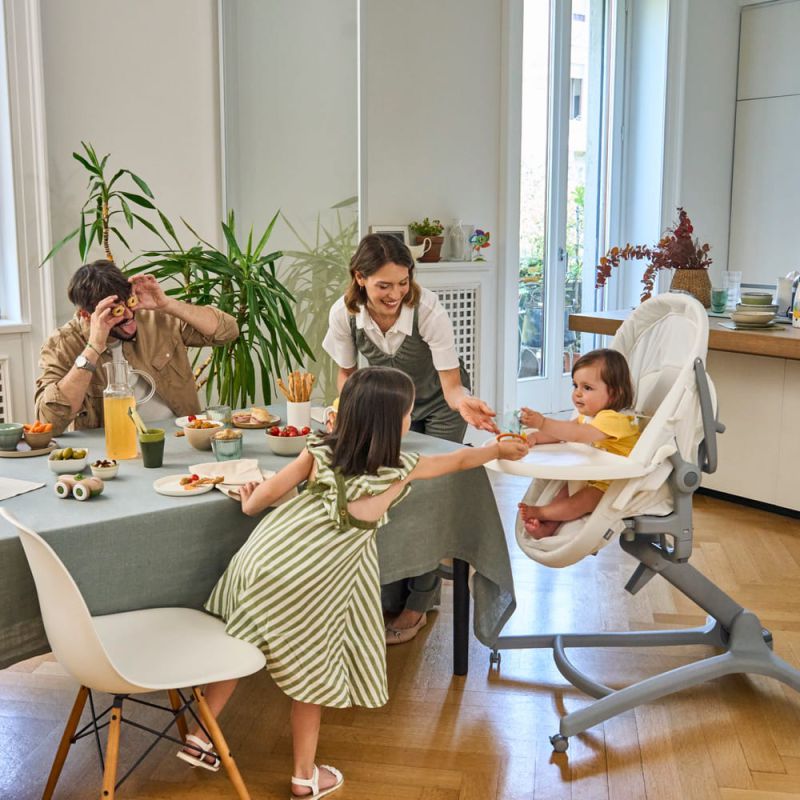 Кроватка-стульчик Chicco Baby Hug Pro 5 в 1 Earl Grey