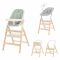 Стульчик для кормления Carrello Ergo CRL-16701 Elora Green