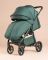 Коляска прогулочная CARRELLO Bravo Lite Deluxe CRL-5529 County Green