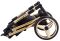 Коляска 2 в 1 Adamex Sierra Polar (Gold) шкіра 100% SR337 нефрит - нефрит (перфорація)