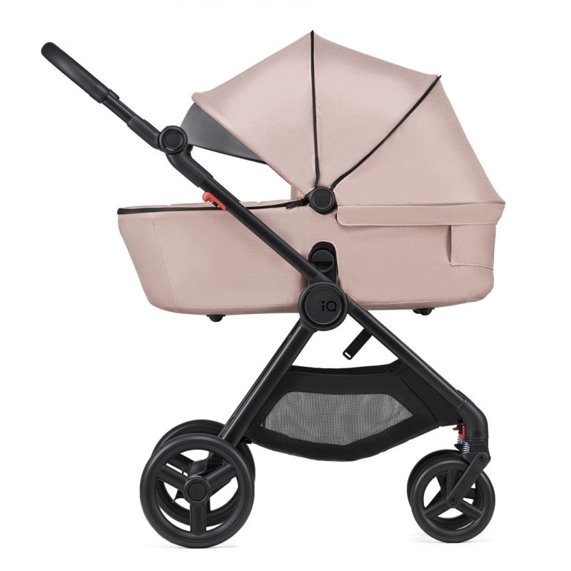 Anex iQ Rosy