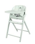 Стульчик для кормления CARRELLO Tenero CRL-9507 Elysium Green