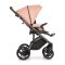 Коляска 2 в 1 Roan Bass Next 08 (Rozy mood) Коляска 2 в 1 Roan Bass Next 08 (Rozy mood)