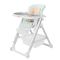 Стульчик для кормления CARRELLO Concord CRL-7402 Mint Green /1/ MOQ