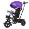 Велосипед триколісний TILLY CANYON T-384 Фіолетовий/1/ Велосипед триколісний TILLY CANYON T-384 Фіолетовий/1/