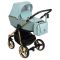 Коляска 2 в 1 Adamex Reggio Y-851