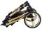 Коляска 2 в 1 Adamex Barcelona  Polar (Gold) BR432