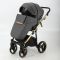 Коляска 2 в 1 Adamex Cortina CT-462 графит+золотая рама