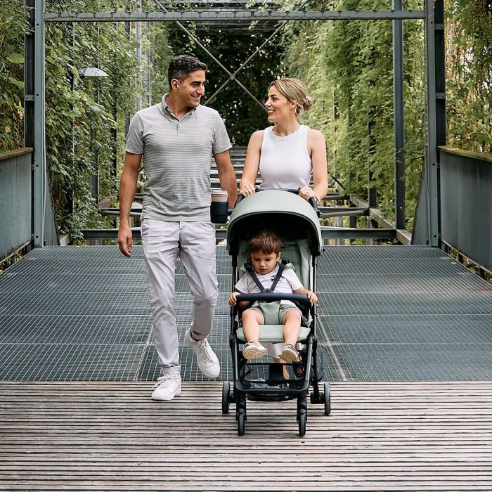 Прогулочная коляска ABC Design Ping 3 Travel Pine