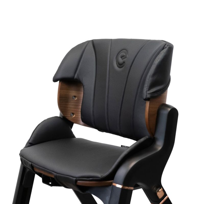Стульчик для кормления Espiro Allure 11 Timber Black