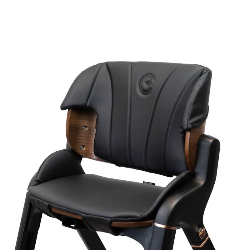 Стульчик для кормления Espiro Allure 11 Timber Black