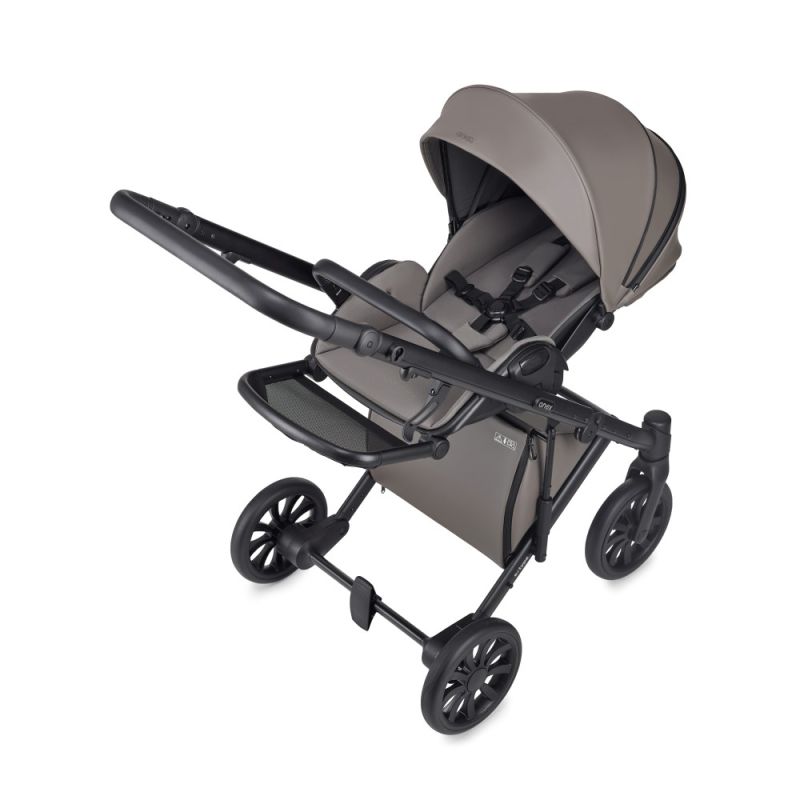 Коляска 2 в 1 Anex E/Type Luna