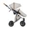 Коляска 2 в 1 Anex E/Type Stardust
