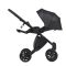 Коляска 2 в 1 Anex E/Type Swan