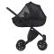 Коляска 2 в 1 Anex E/Type Swan