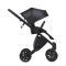 Коляска 2 в 1 Anex E/Type Swan