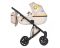 Коляска 2 в 1 Anex E/Type x Smiley World Joy