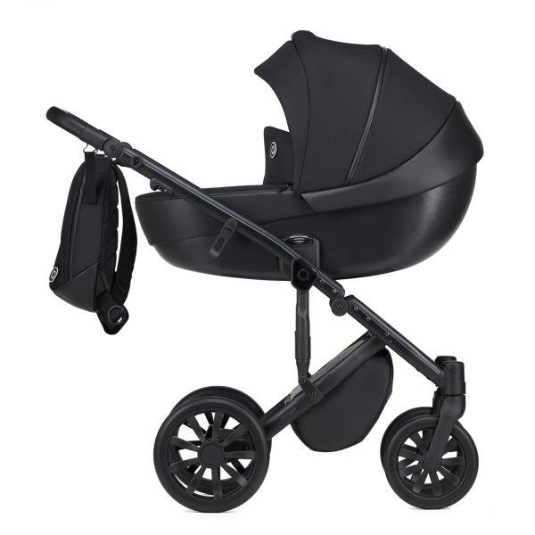 Коляска 2 в 1 Anex M/Type 2023 Argo Коляска 2 в 1 Anex M/Type 2023 Argo