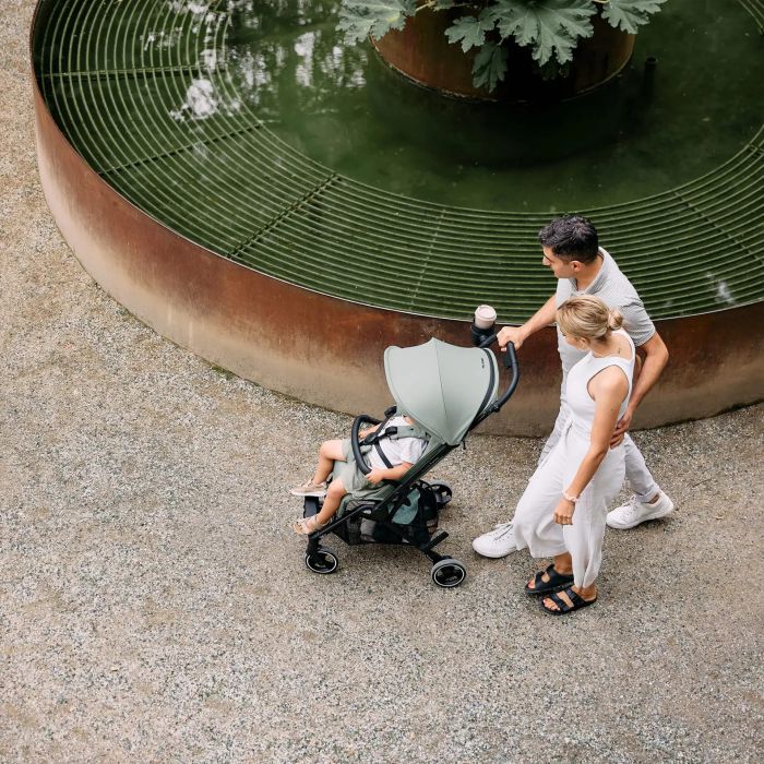 Прогулочная коляска ABC Design Ping 3 Travel Pine