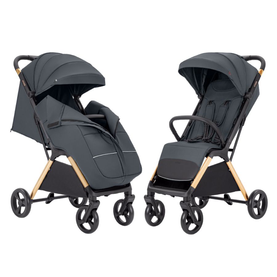 Коляска прогулочная CARRELLO Cross CRL-5523 Eagle Grey