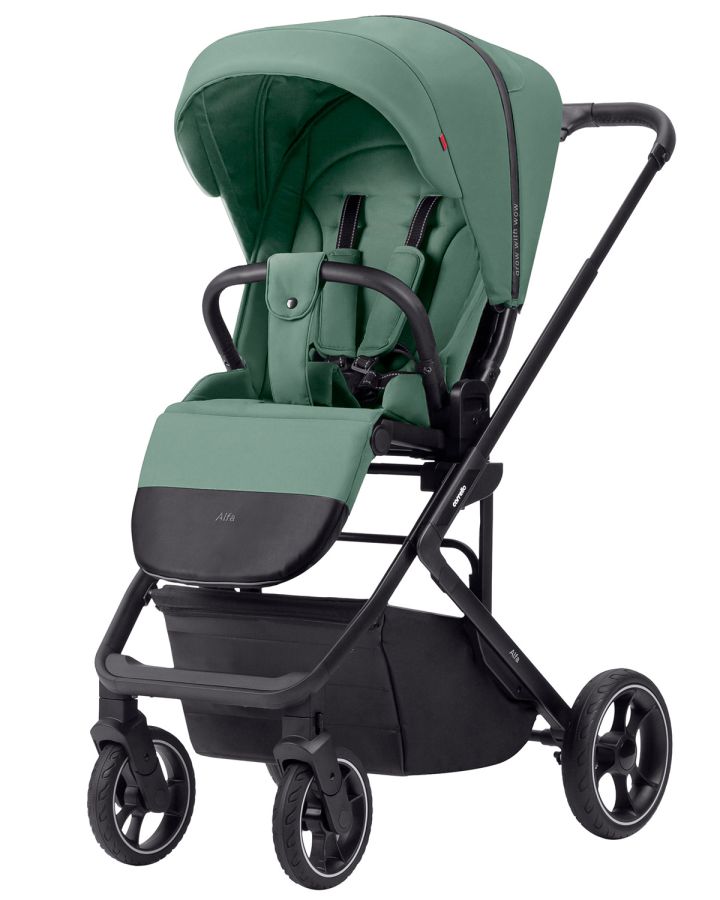 Коляска прогулочная CARRELLO Alfa 2023 CRL-5508 Apple Green