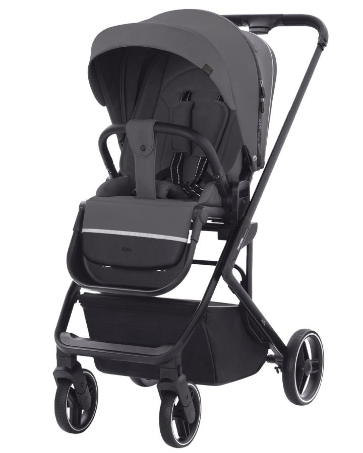 Коляска прогулочная CARRELLO Alfa CRL-5508 Falcon Grey