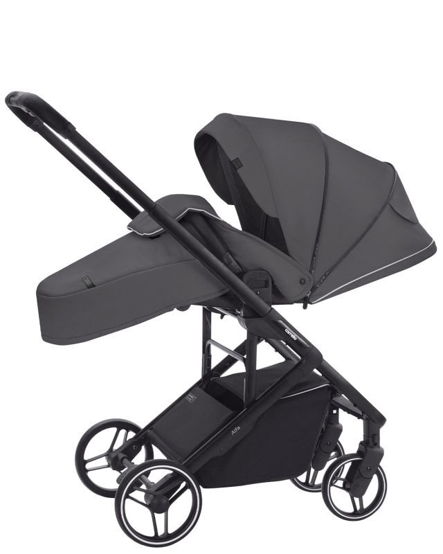 Коляска прогулочная CARRELLO Alfa CRL-5508 Falcon Grey